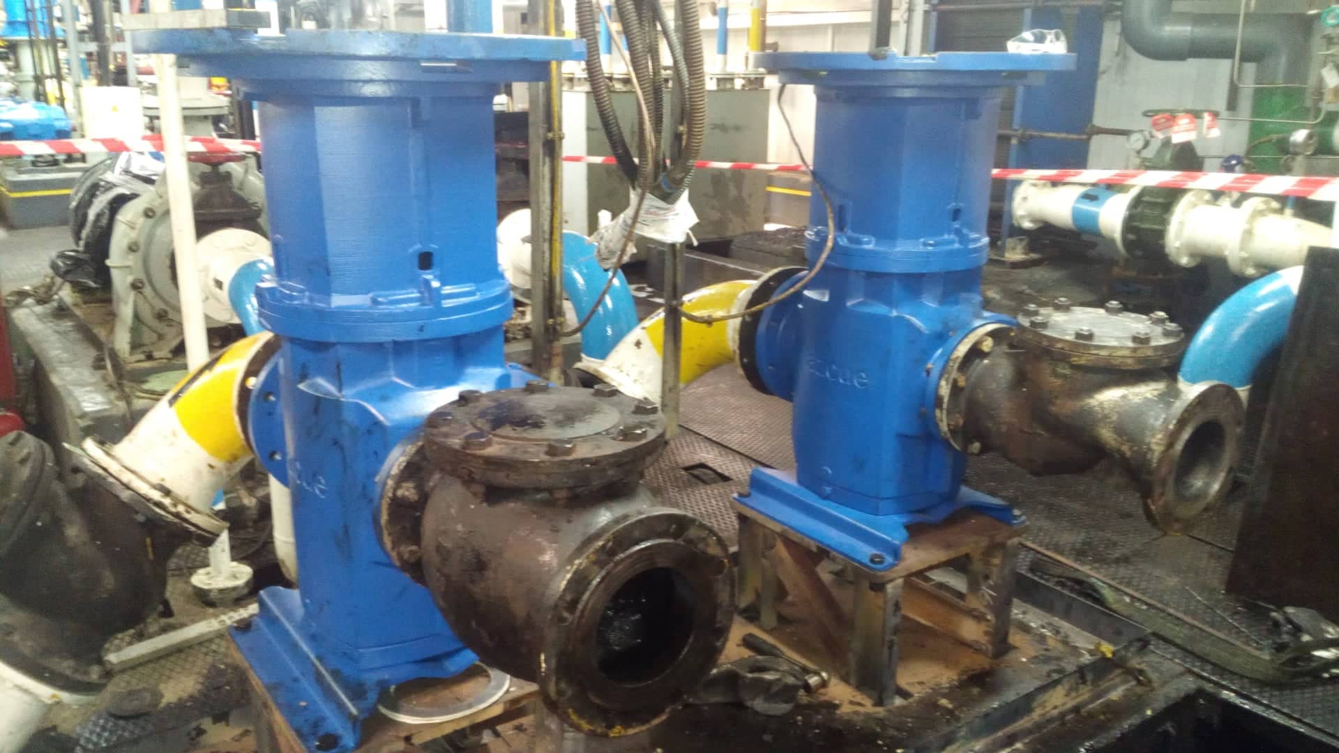 Profert Granulation maintenance